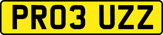 PR03UZZ