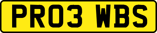 PR03WBS