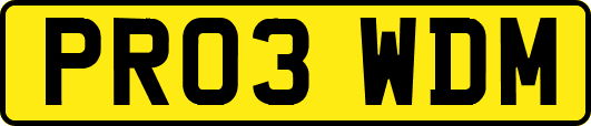 PR03WDM