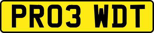 PR03WDT