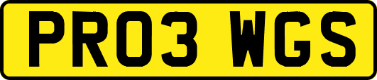PR03WGS