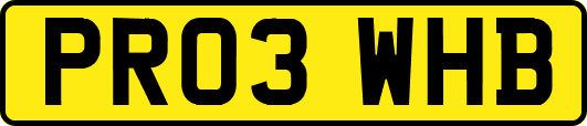 PR03WHB
