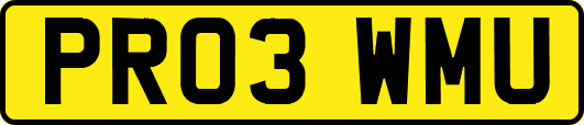 PR03WMU