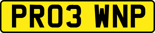 PR03WNP