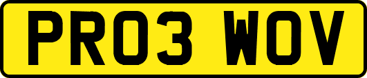 PR03WOV