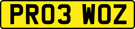 PR03WOZ