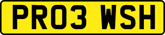 PR03WSH