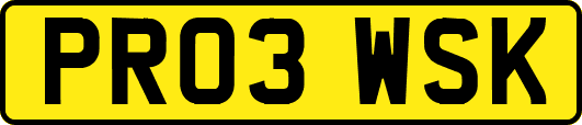 PR03WSK