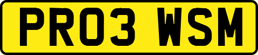 PR03WSM