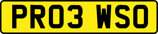 PR03WSO