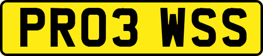 PR03WSS