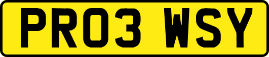 PR03WSY
