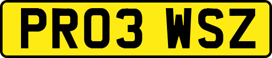 PR03WSZ