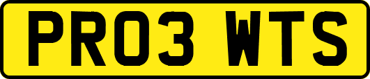 PR03WTS