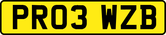 PR03WZB