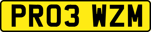PR03WZM