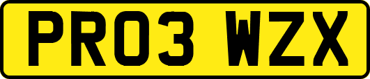 PR03WZX