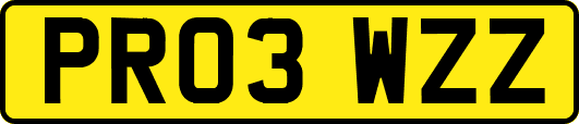 PR03WZZ