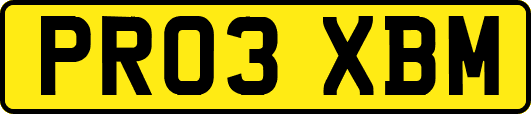 PR03XBM