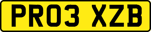 PR03XZB