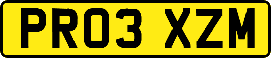 PR03XZM