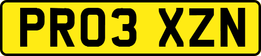PR03XZN