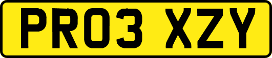 PR03XZY