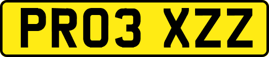 PR03XZZ