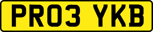 PR03YKB