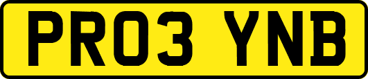 PR03YNB