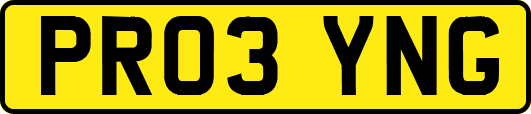 PR03YNG