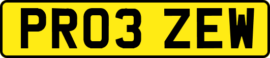 PR03ZEW