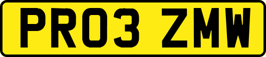 PR03ZMW