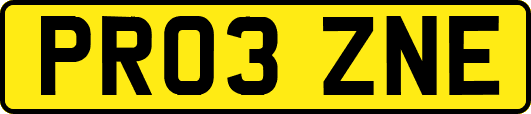 PR03ZNE