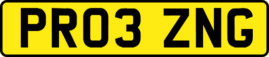 PR03ZNG