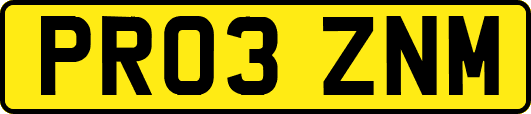 PR03ZNM