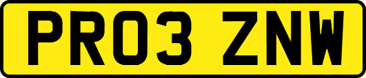 PR03ZNW
