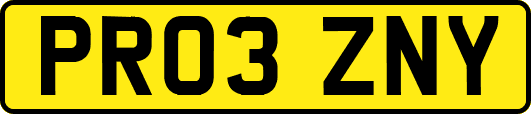 PR03ZNY
