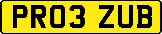 PR03ZUB