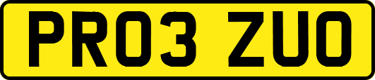 PR03ZUO