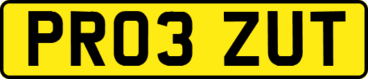 PR03ZUT