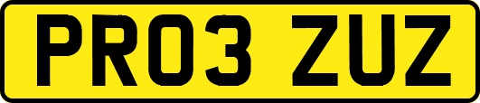 PR03ZUZ