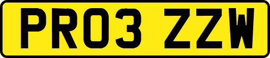 PR03ZZW