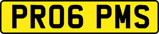 PR06PMS