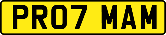 PR07MAM