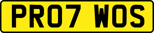 PR07WOS