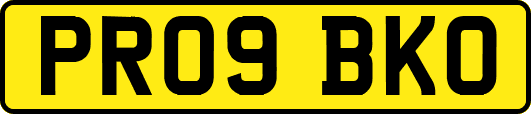 PR09BKO