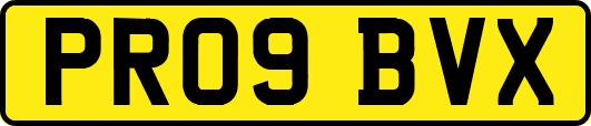 PR09BVX