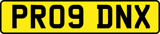 PR09DNX