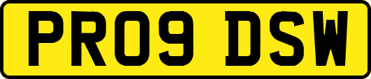 PR09DSW